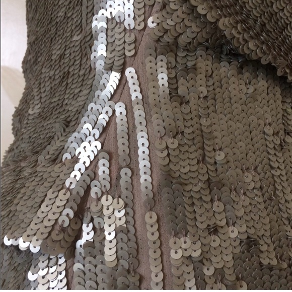 Parker Champagne sequin dress - Picture 5 of 6